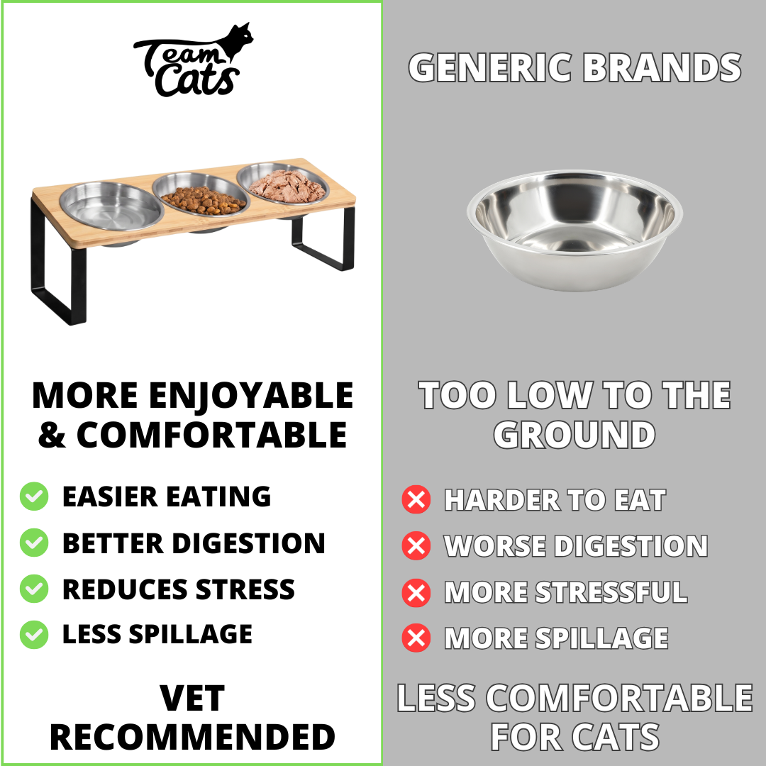 Elevated Food-Grade Feeder Stand With Three Stainless Steel Cat Bowls (Vet-Recommended!)
