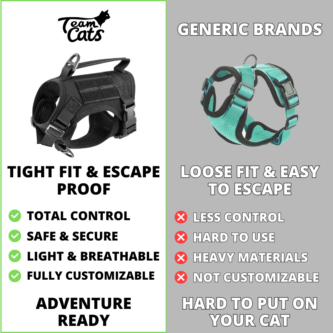 NEW Team Cats™ Adjustable Cat Harness With 2 Quick-Release Buckles, Easy-Grab Top Handle, Hook & Loop Panels, & Adjustable Straps