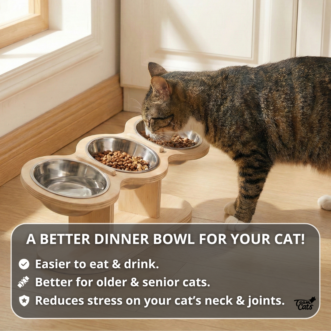 Elevated Food-Grade Feeder Stand With Stainless Steel Cat Bowls (Vet-Recommended!)