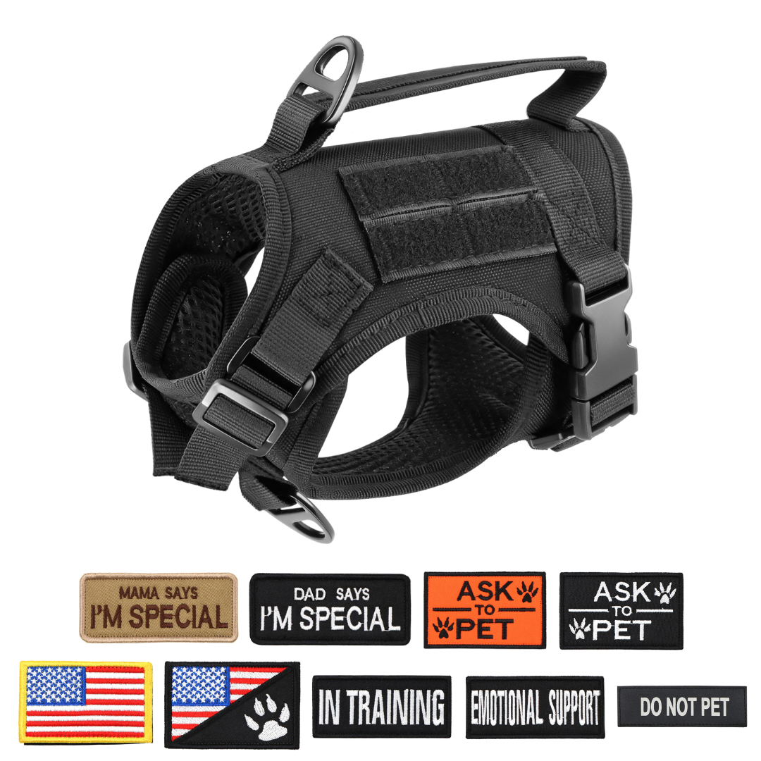 NEW Team Cats™ Adjustable Cat Harness With 2 Quick-Release Buckles, Easy-Grab Top Handle, Hook & Loop Panels, & Adjustable Straps