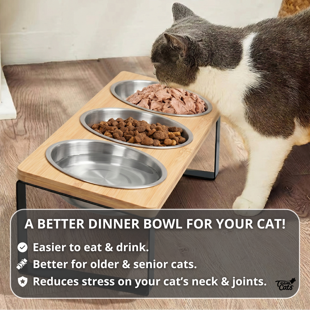 Elevated Food-Grade Feeder Stand With Three Stainless Steel Cat Bowls (Vet-Recommended!)