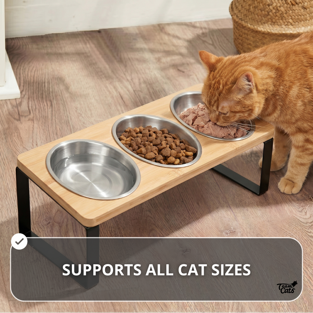 Elevated Food-Grade Feeder Stand With Three Stainless Steel Cat Bowls (Vet-Recommended!)