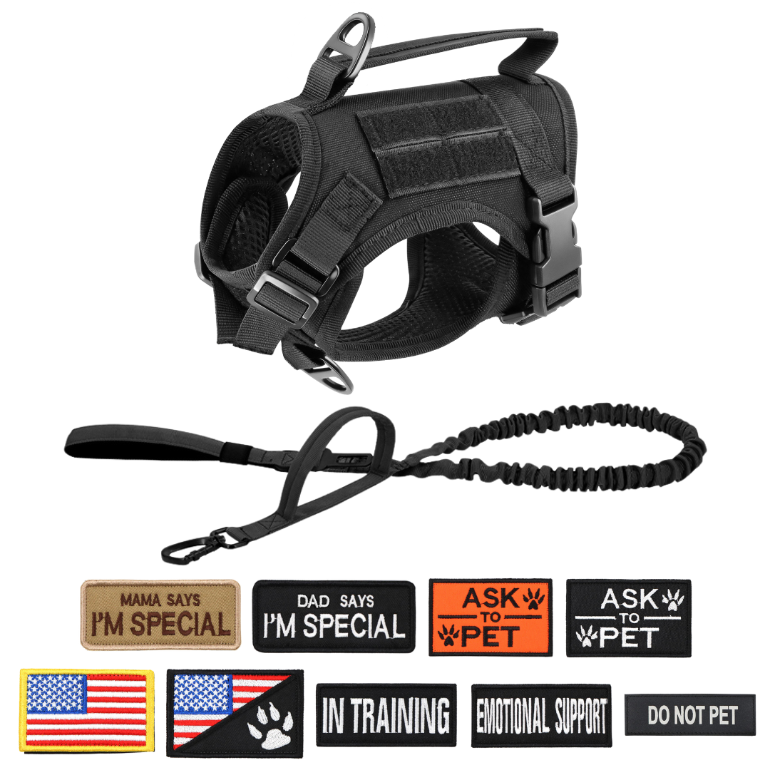 NEW Team Cats™ Adjustable Cat Harness With 2 Quick-Release Buckles, Easy-Grab Top Handle, Hook & Loop Panels, & Adjustable Straps