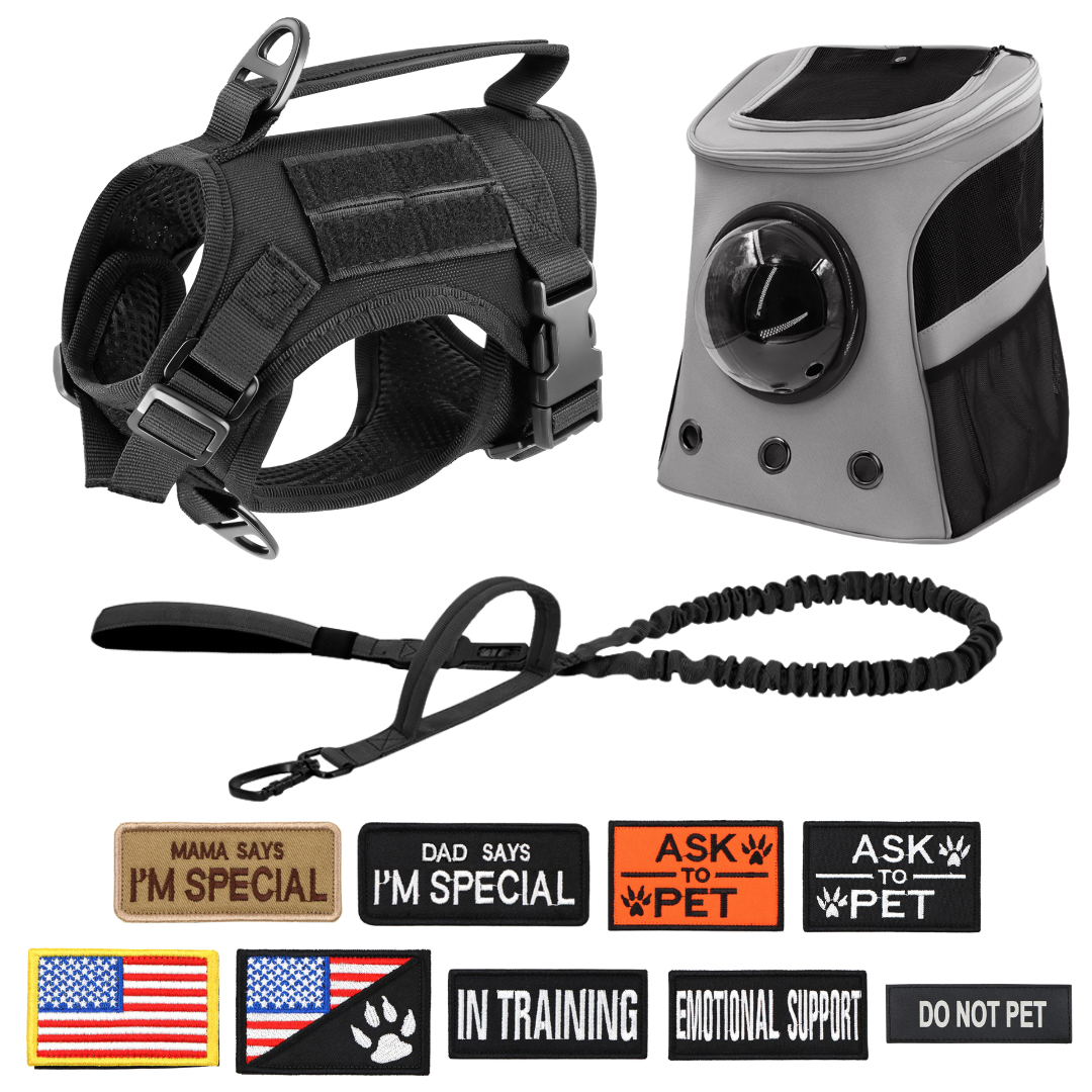 NEW Team Cats™ Adjustable Cat Harness With 2 Quick-Release Buckles, Easy-Grab Top Handle, Hook & Loop Panels, & Adjustable Straps