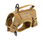 NEW Team Cats™ Adjustable Cat Harness With 2 Quick-Release Buckles, Easy-Grab Top Handle, Hook & Loop Panels, & Adjustable Straps