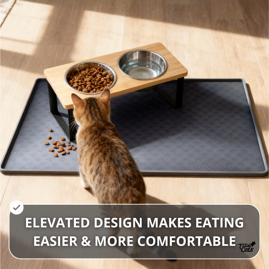 Elevated Food-Grade Feeder Stand With Stainless Steel Cat Bowls (Vet-Recommended!)