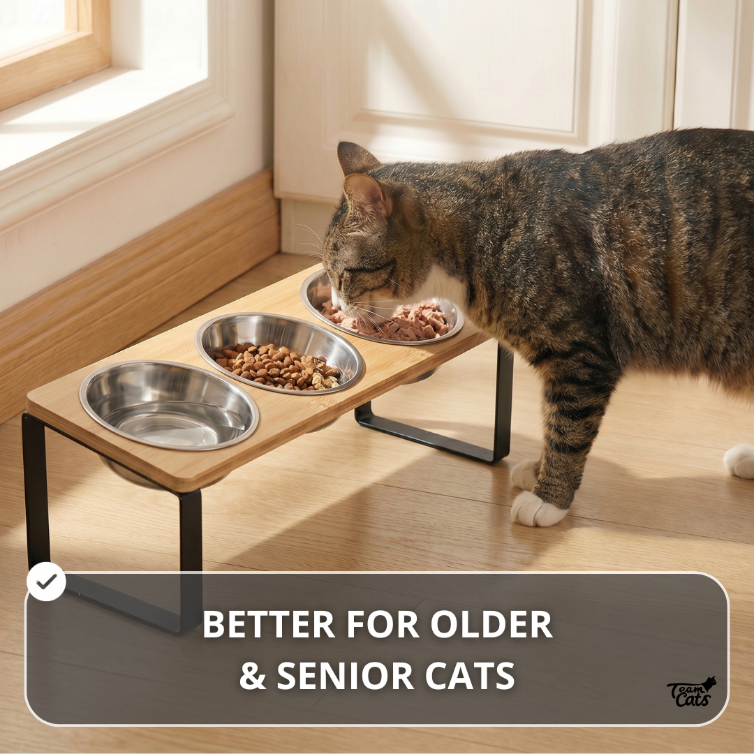 Elevated Food-Grade Feeder Stand With Three Stainless Steel Cat Bowls (Vet-Recommended!)