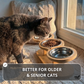 Elevated Food-Grade Feeder Stand With Stainless Steel Cat Bowls (Vet-Recommended!)