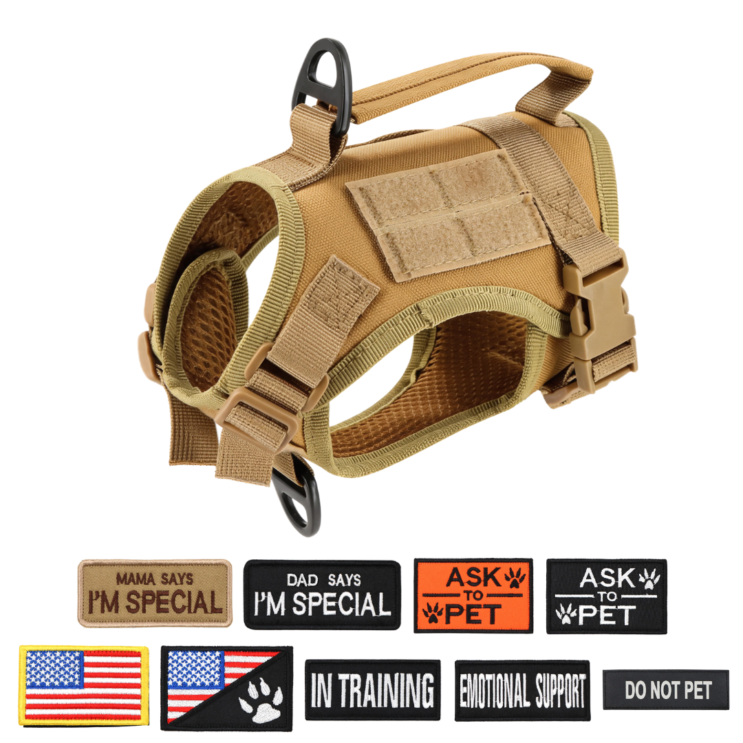 NEW Team Cats™ Adjustable Cat Harness With 2 Quick-Release Buckles, Easy-Grab Top Handle, Hook & Loop Panels, & Adjustable Straps