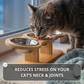 Elevated Food-Grade Feeder Stand With Stainless Steel Cat Bowls (Vet-Recommended!)