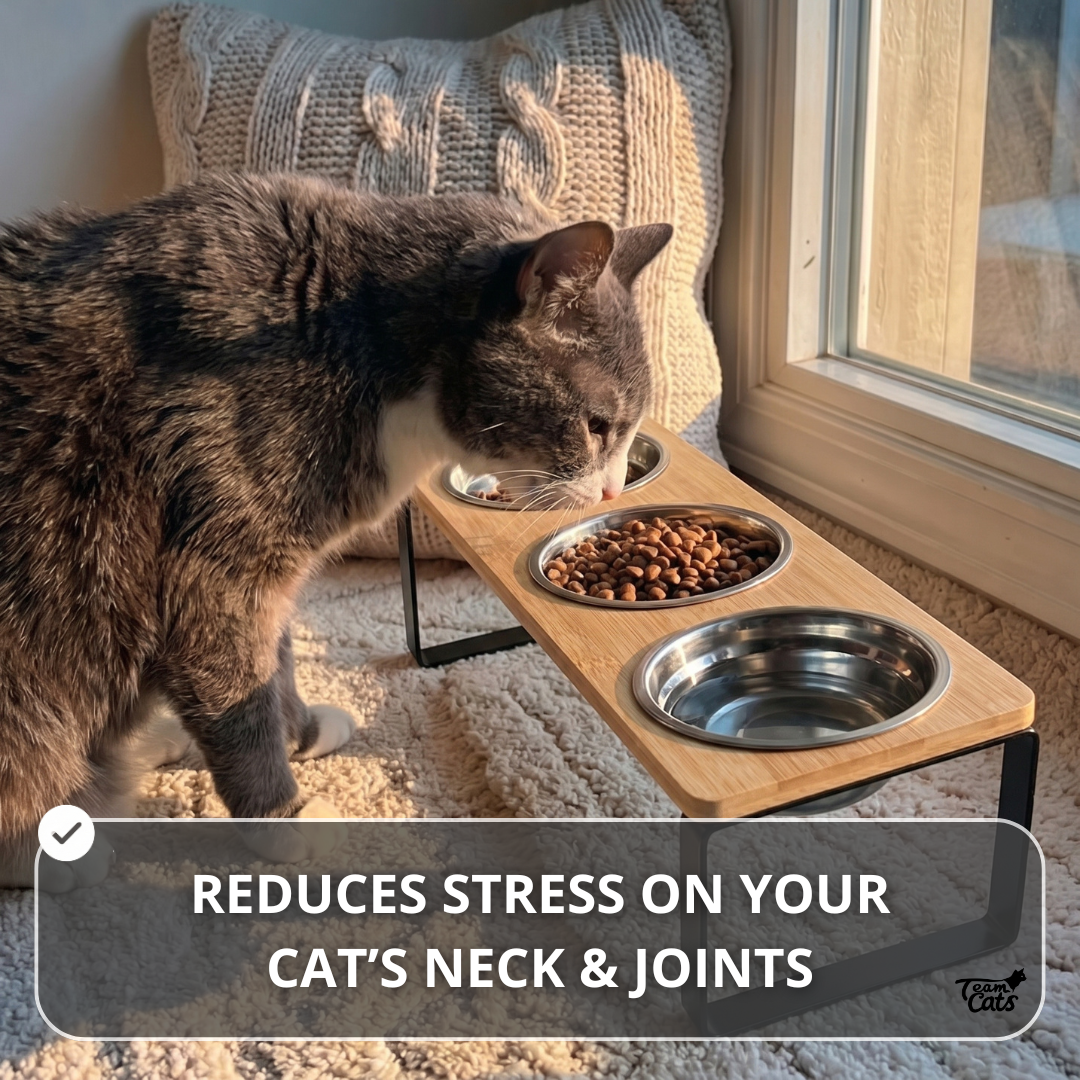 Elevated Food-Grade Feeder Stand With Three Stainless Steel Cat Bowls (Vet-Recommended!)