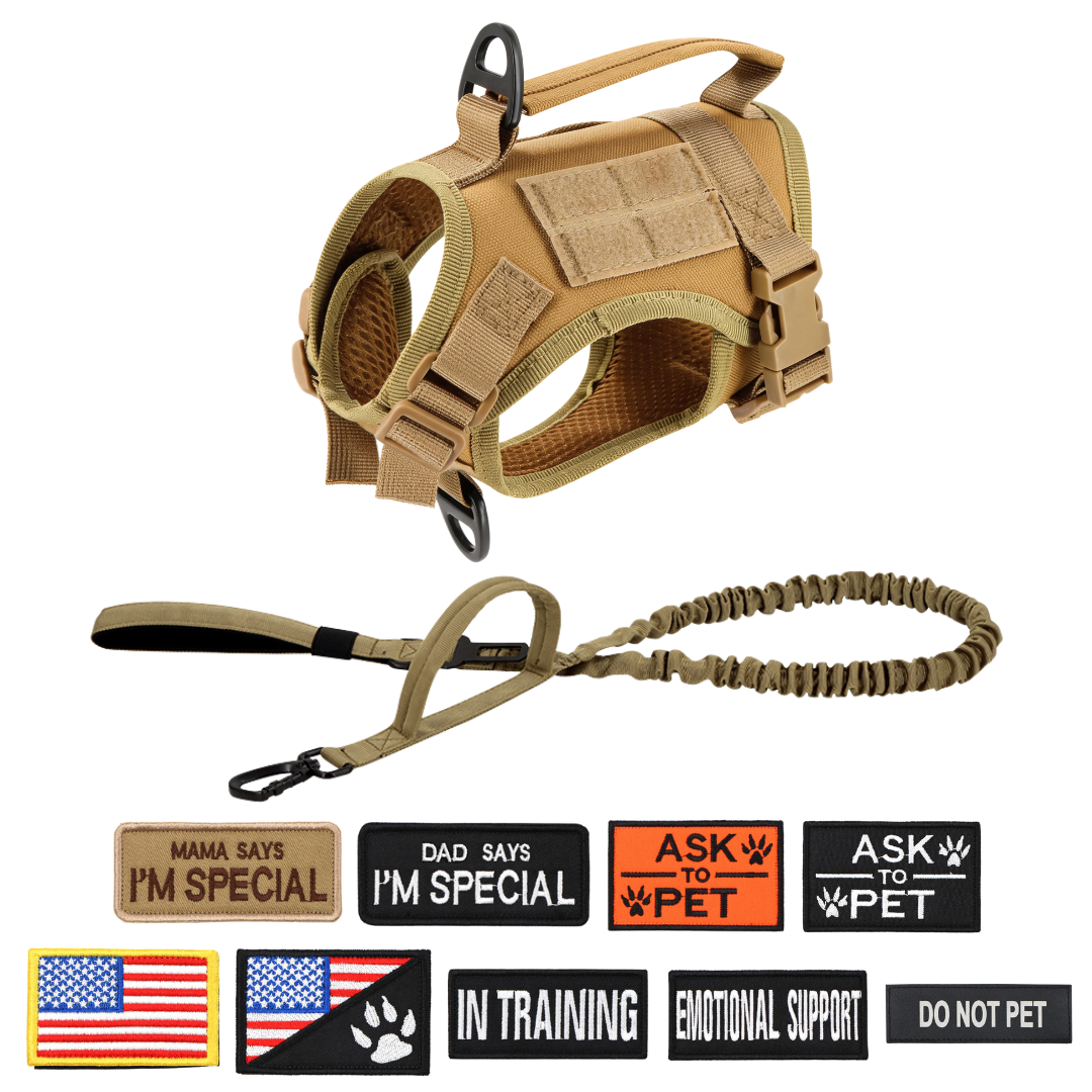 NEW Team Cats™ Adjustable Cat Harness With 2 Quick-Release Buckles, Easy-Grab Top Handle, Hook & Loop Panels, & Adjustable Straps
