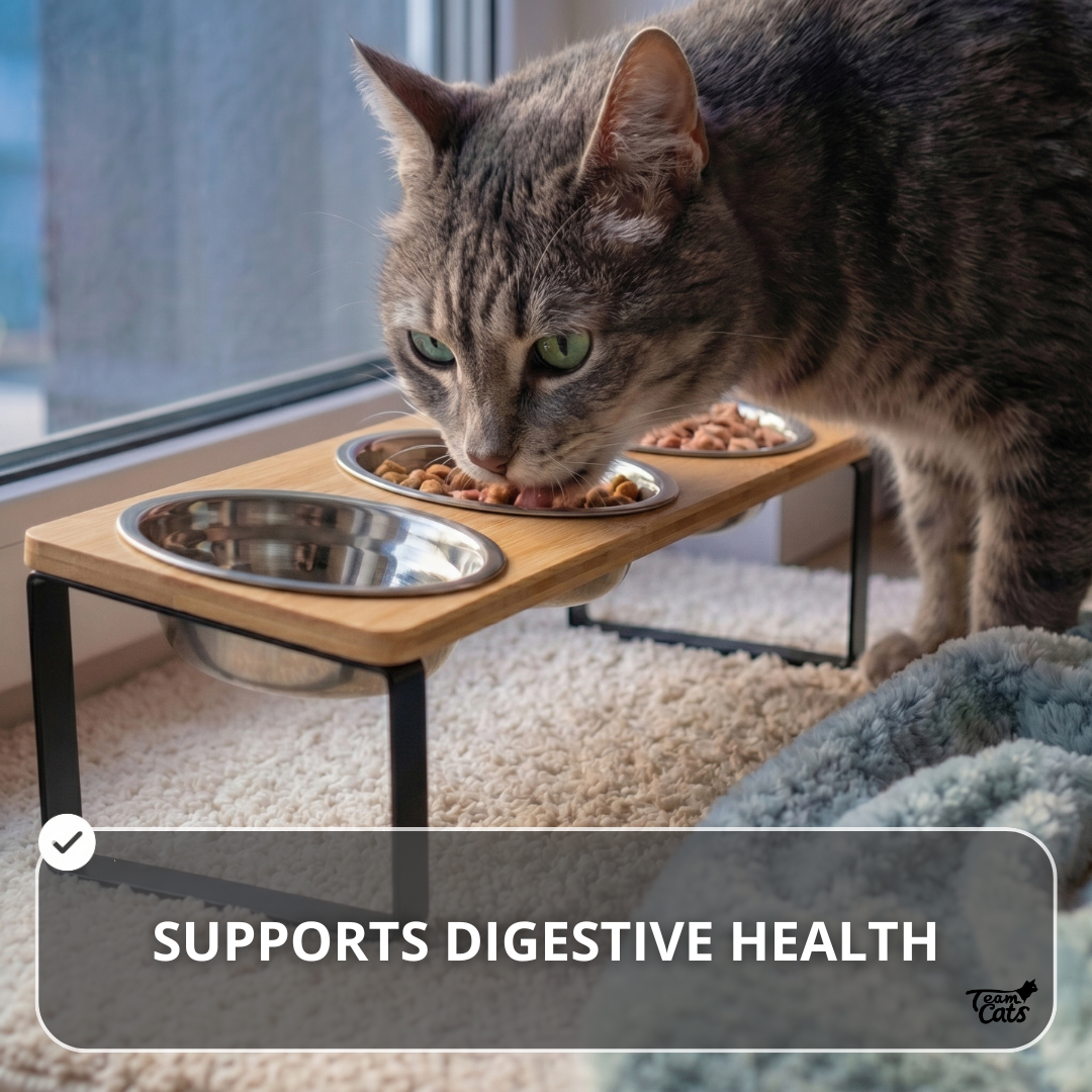 Elevated Food-Grade Feeder Stand With Three Stainless Steel Cat Bowls (Vet-Recommended!)
