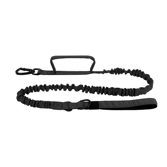Double-Handle Bungee Leash For The Cat Harness