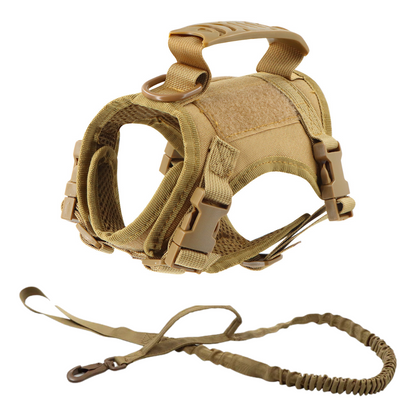 NEW Team Cats™ Adjustable Cat Harness With 4 Quick-Release Buckles, Easy-Grab Top Handle, Hook & Loop Panels, & Adjustable Straps