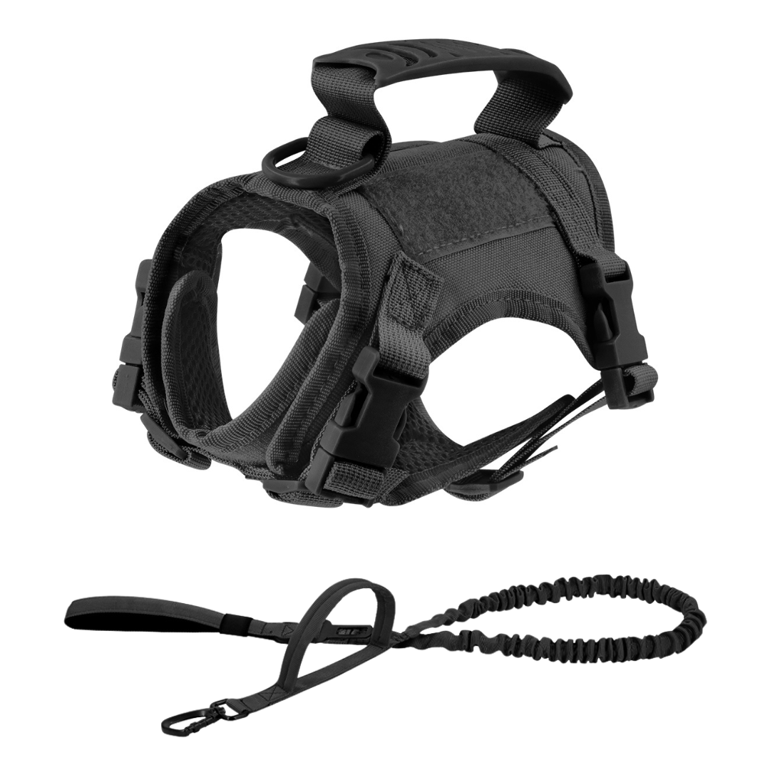 NEW Team Cats™ Adjustable Cat Harness With 4 Quick-Release Buckles, Easy-Grab Top Handle, Hook & Loop Panels, & Adjustable Straps