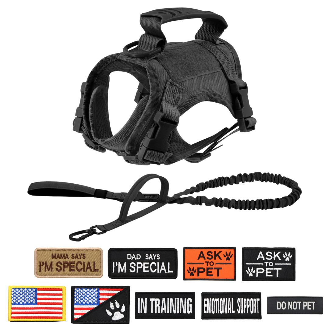 NEW Team Cats™ Adjustable Cat Harness With 4 Quick-Release Buckles, Easy-Grab Top Handle, Hook & Loop Panels, & Adjustable Straps