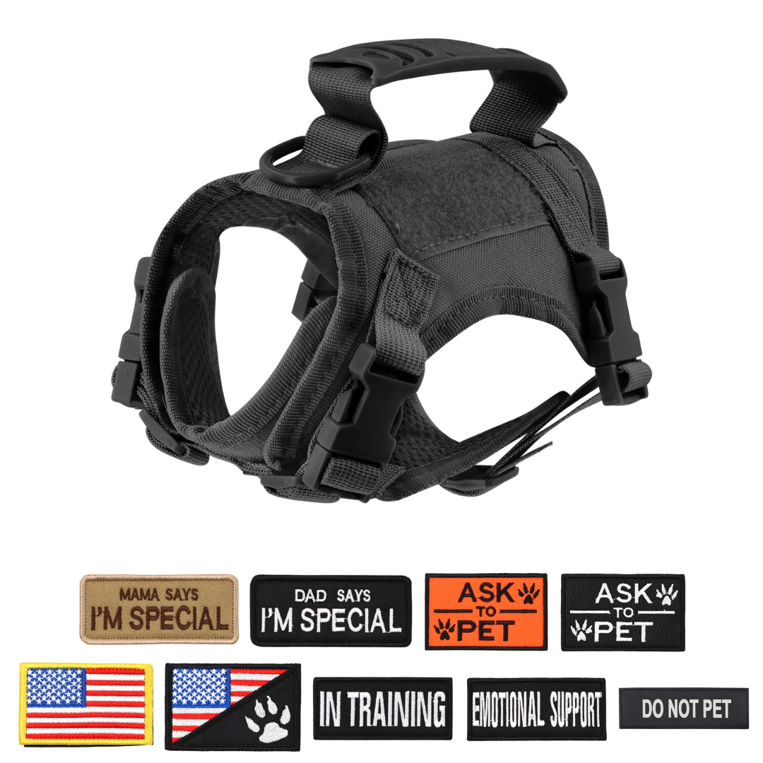 NEW Team Cats™ Adjustable Cat Harness With 4 Quick-Release Buckles, Easy-Grab Top Handle, Hook & Loop Panels, & Adjustable Straps