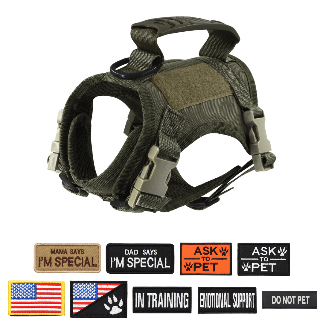 NEW Team Cats™ Adjustable Cat Harness With 4 Quick-Release Buckles, Easy-Grab Top Handle, Hook & Loop Panels, & Adjustable Straps