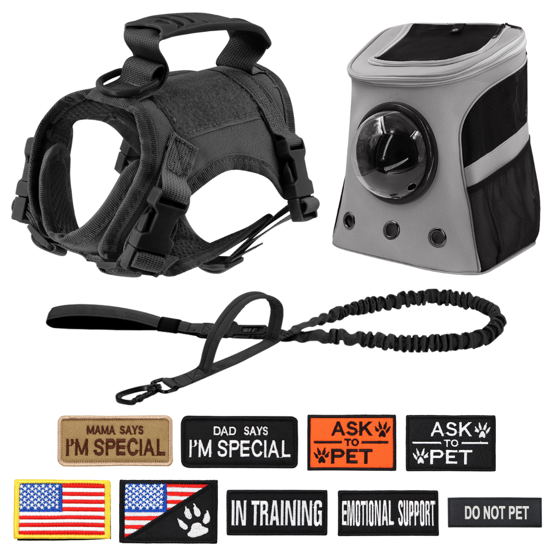 NEW Team Cats™ Adjustable Cat Harness With 4 Quick-Release Buckles, Easy-Grab Top Handle, Hook & Loop Panels, & Adjustable Straps