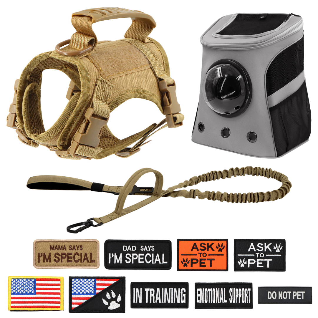 NEW Team Cats™ Adjustable Cat Harness With 4 Quick-Release Buckles, Easy-Grab Top Handle, Hook & Loop Panels, & Adjustable Straps