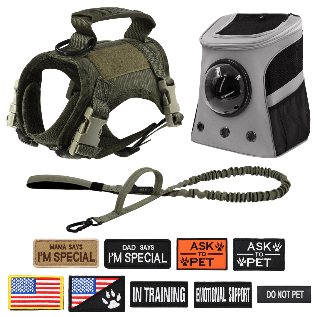 NEW Team Cats™ Adjustable Cat Harness With 4 Quick-Release Buckles, Easy-Grab Top Handle, Hook & Loop Panels, & Adjustable Straps