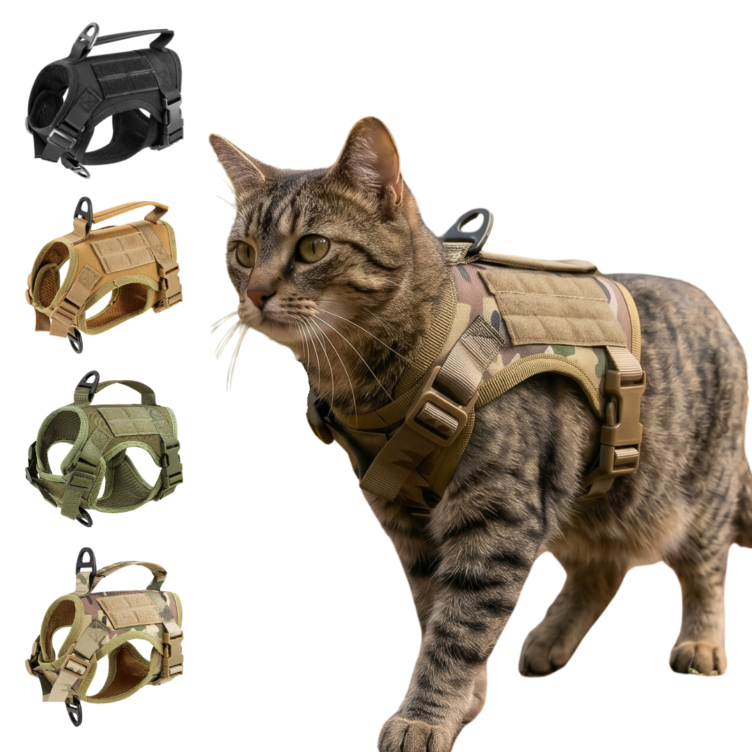 NEW Team Cats™ Adjustable Cat Harness With 2 Quick-Release Buckles, Easy-Grab Top Handle, Hook & Loop Panels, & Adjustable Straps