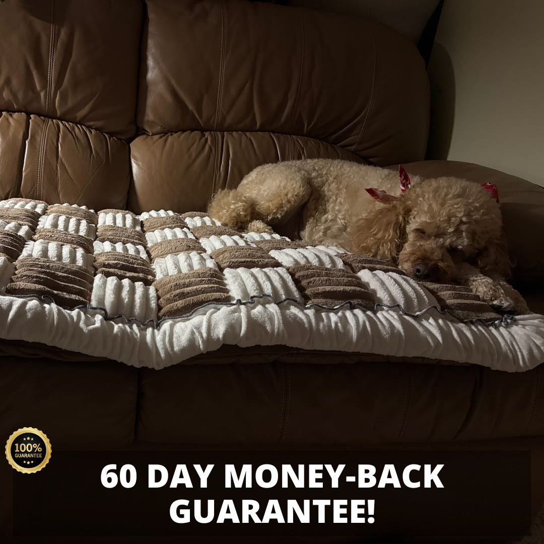 NEW 2-in-1 Furniture Protector & Cat Bed Couch Cover with Thick Orthopedic Padding, Non-Slip Grip, Scratch-Resistant Surface & Machine-Washable Fabric