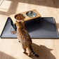Elevated Food-Grade Stainless Steel Cat Bowls (Vet-Recommended!)
